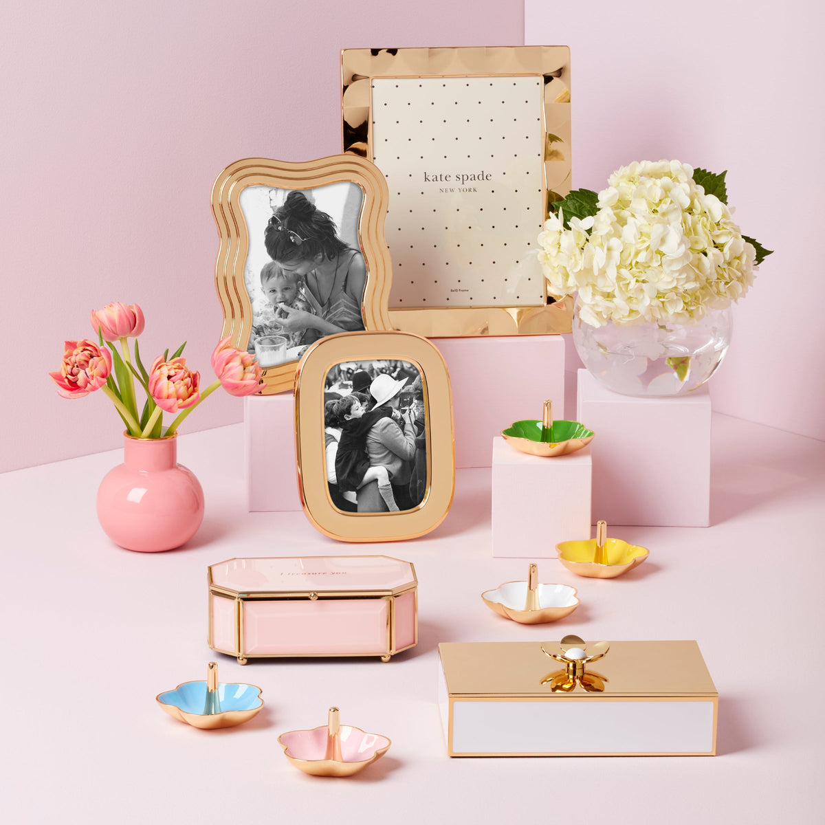 PRECIOUS COLLECTOR BOX　ゴールデンボックス PRECIOUS COLLECTOR BOX ゴールデンボックス Precious collector