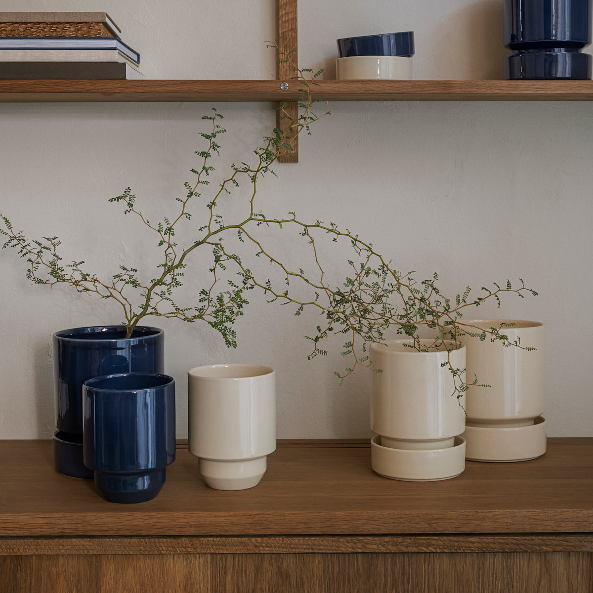 Bergs Potter  glazed 植木鉢 Emerald Glazed Modena Pot - Bergs Potter – Paraíso Plant Studio