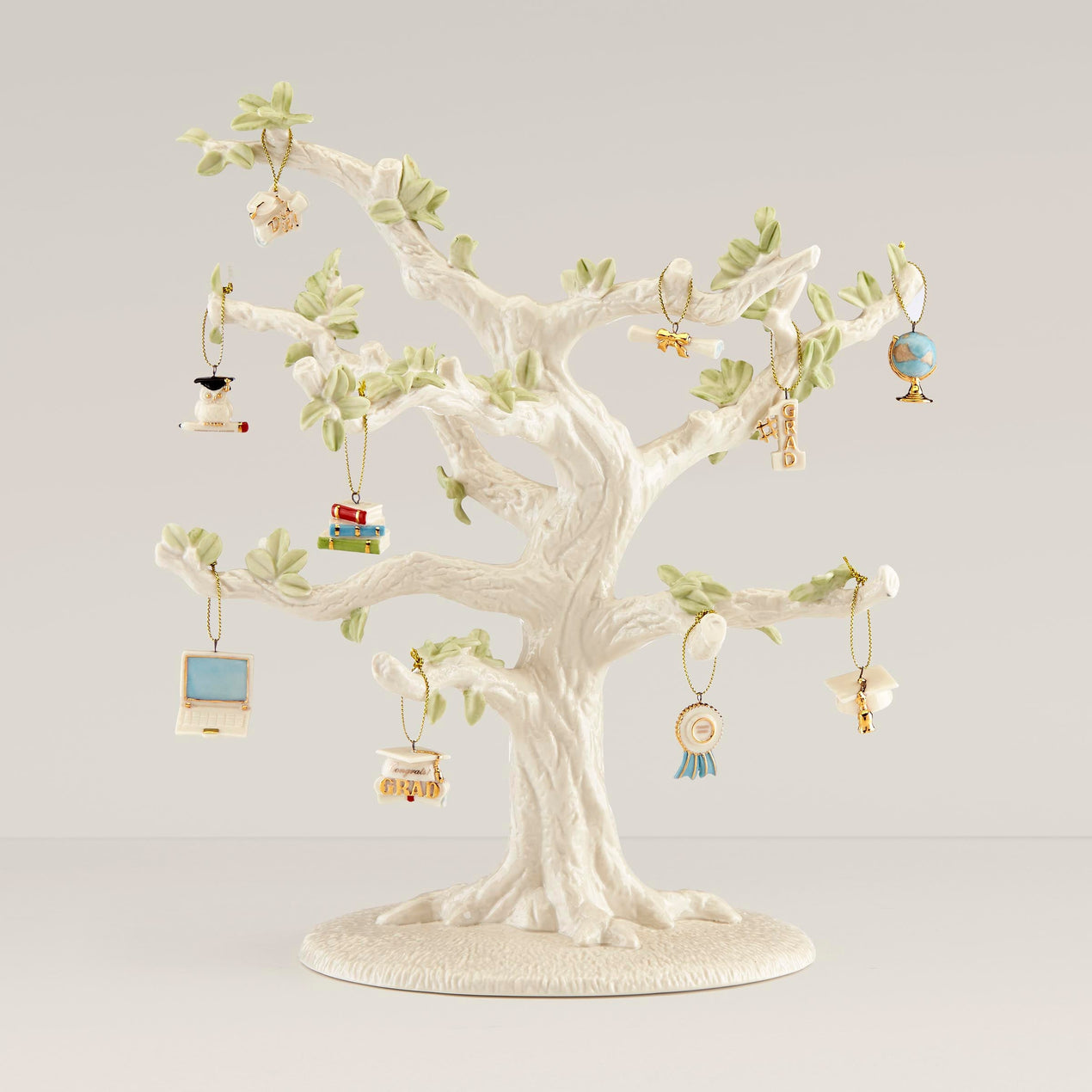 Graduation 10-Piece Ornament Set