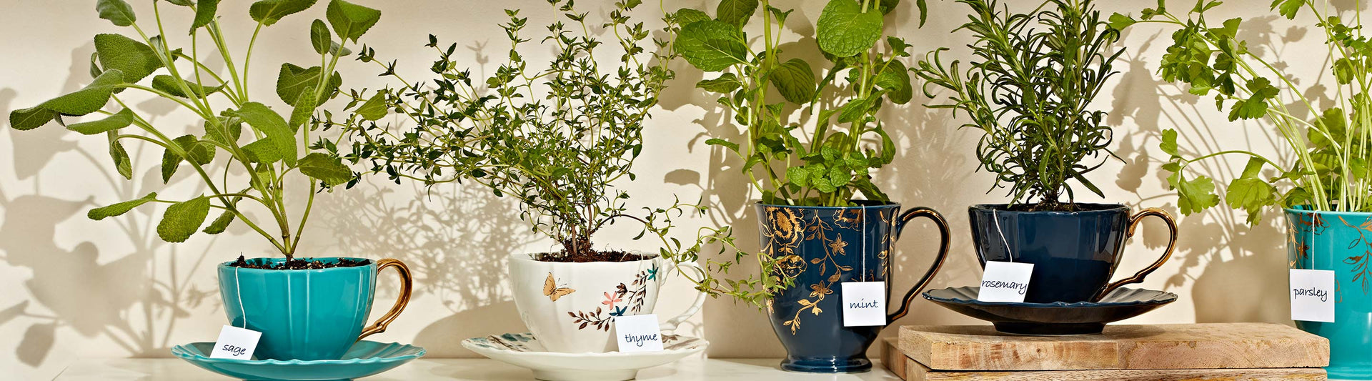 Herbs potted in Lenox Sprig & Vine Teacups