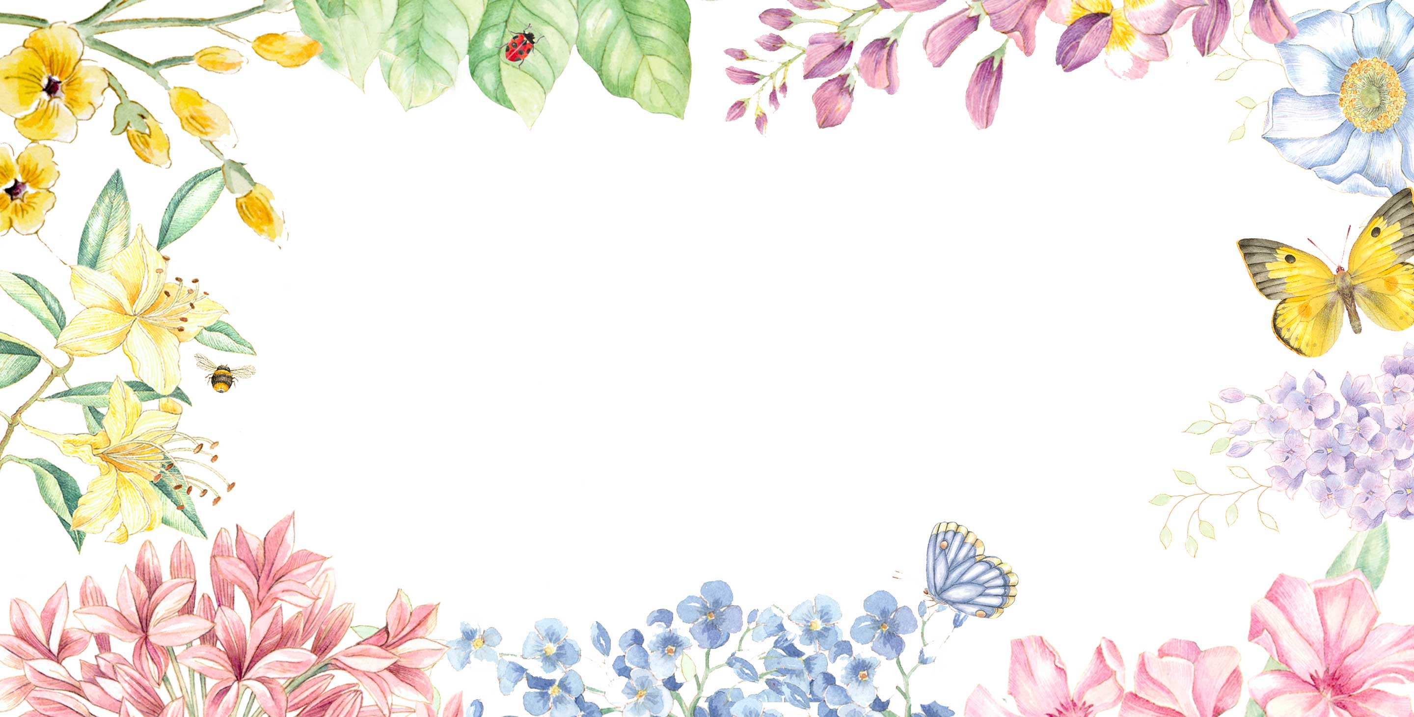 Butterfly Meadow New Arrivals