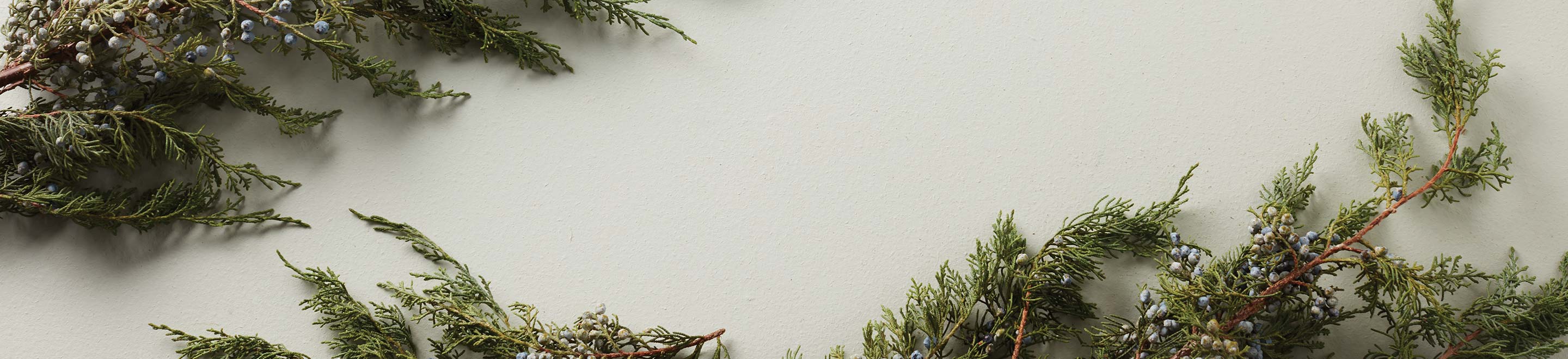 Christmas Shop Best Sellers
