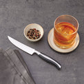 Contour 4-Piece Steak Knife Set