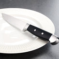 Jumbo 4-Piece Steak Knife Set