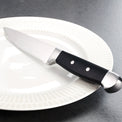 Jumbo 4-Piece Steak Knife Set