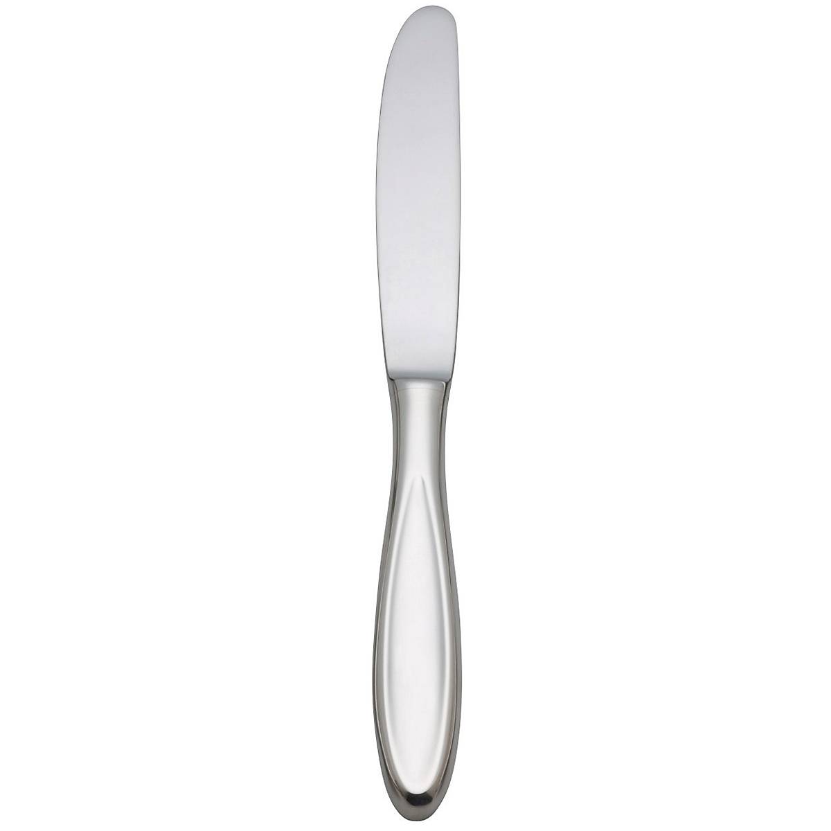Holliston Dinner Knife – Lenox Corporation