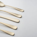 Rhiannon Champagne Satin 20 Piece Flatware Set