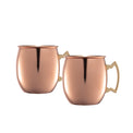 Solid Cpr 20 oz MM Mug-2 pk Ea