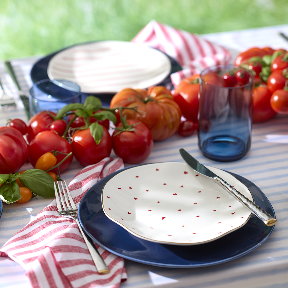 Bay Colors Blue Dinner Plates - Set of 4