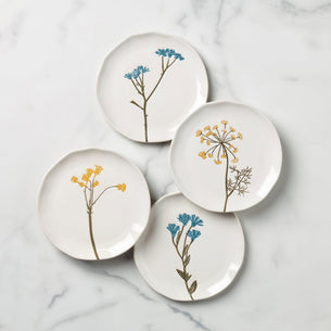 Everyday Modern Dinnerware