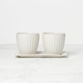 French Perle Scallop 3-Piece Herb Pots & Tray Set