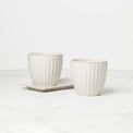 French Perle Scallop 3-Piece Herb Pots & Tray Set