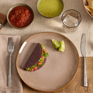 Organic Shades Clay 12-Piece Dinnerware Set
