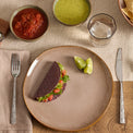 Organic Shades Clay 12-Piece Dinnerware Set