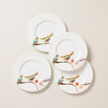 Chirp Salad Plates, Set of 4