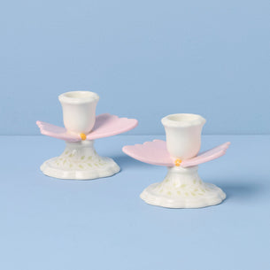 Shop All Butterfly Meadow