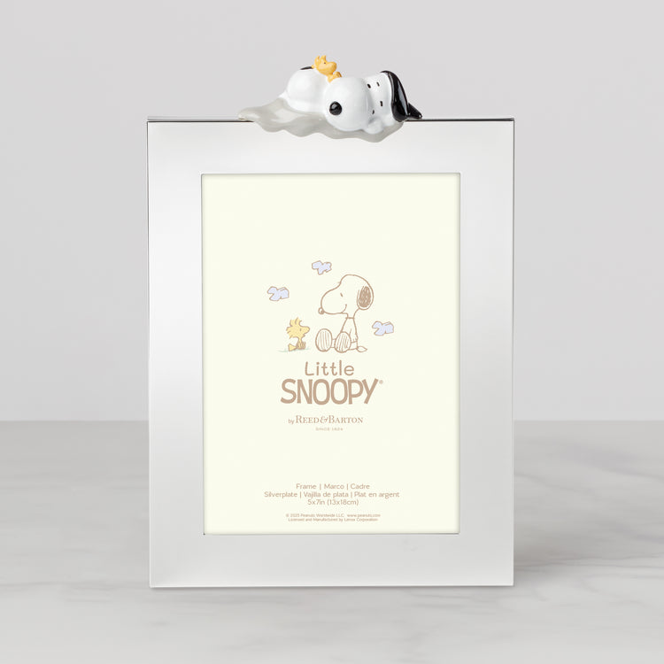 Little Snoopy