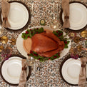 Studio 1414 Rimmed 12-Piece Dinnerware Set