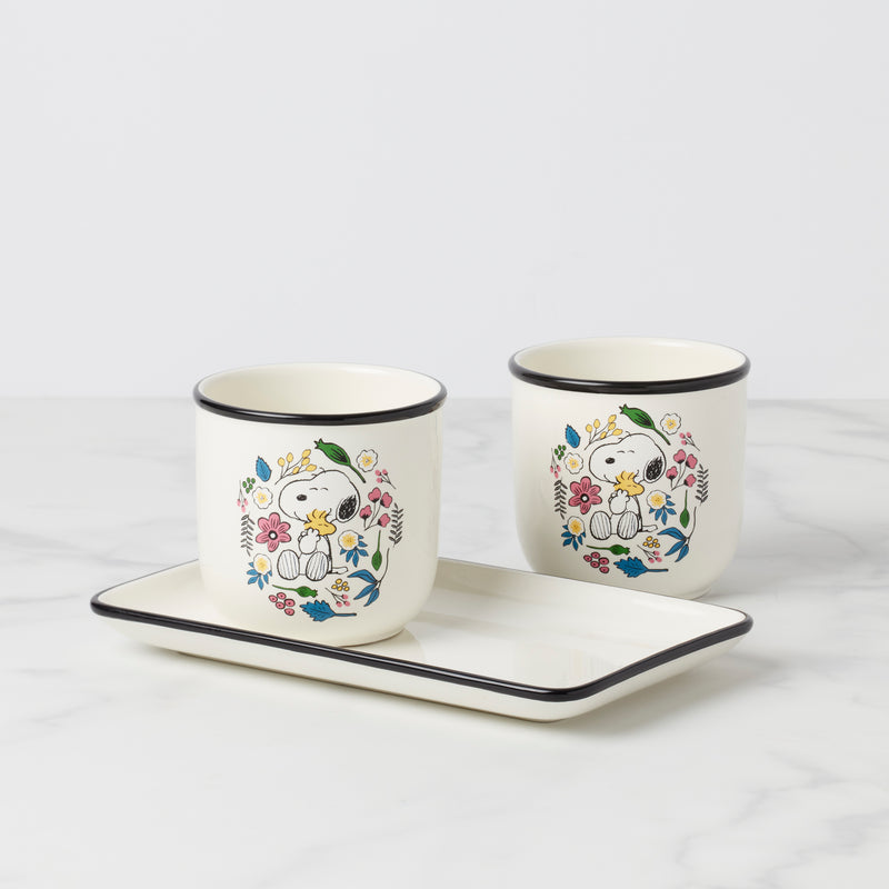 Chef Snoopy Herb Pots, S/3