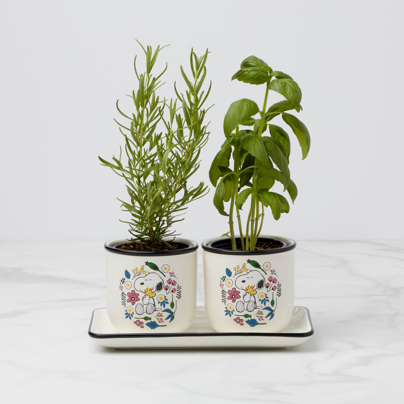 Chef Snoopy Herb Pots, S/3