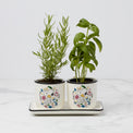Chef Snoopy Herb Pots, S/3