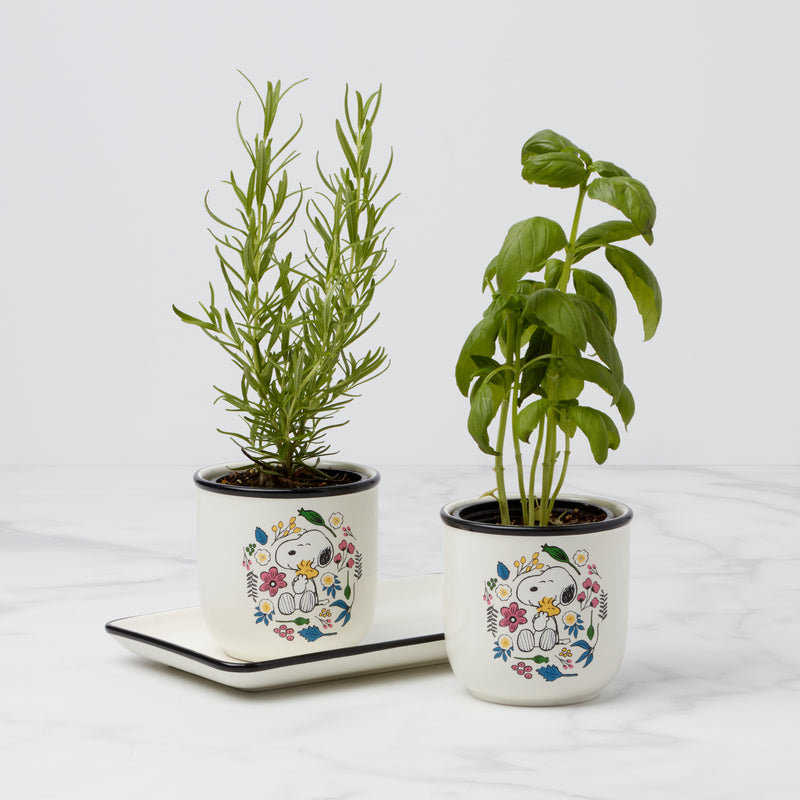 Chef Snoopy Herb Pots, S/3