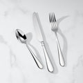 Studio 1414 24-Piece Flatware Set