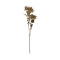 DTOC ARTIFICIAL BUTTERFLY BUSH, NATURAL