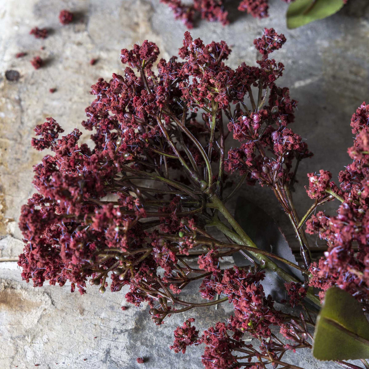 DTOC ARTIFICIAL BUTTERFLY BUSH, ROUGE