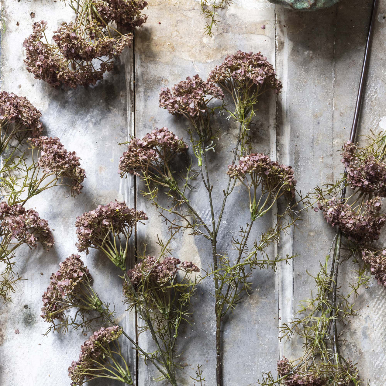DTOC ARTIFICIAL DILL FLOWER