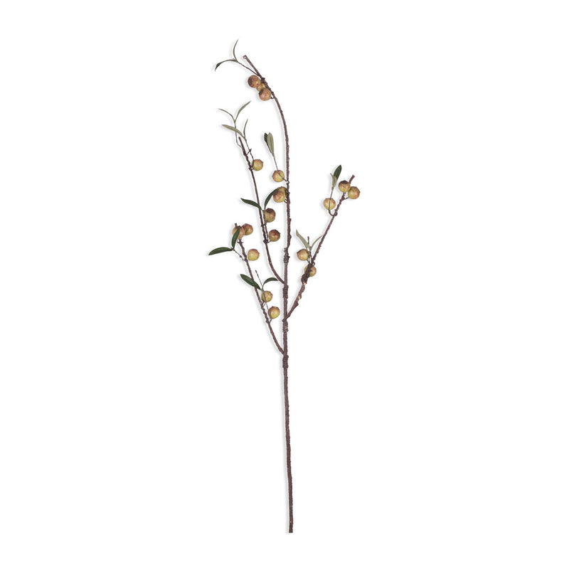 DTOC ARTIFICIAL ROSEHIP, DAPPLED