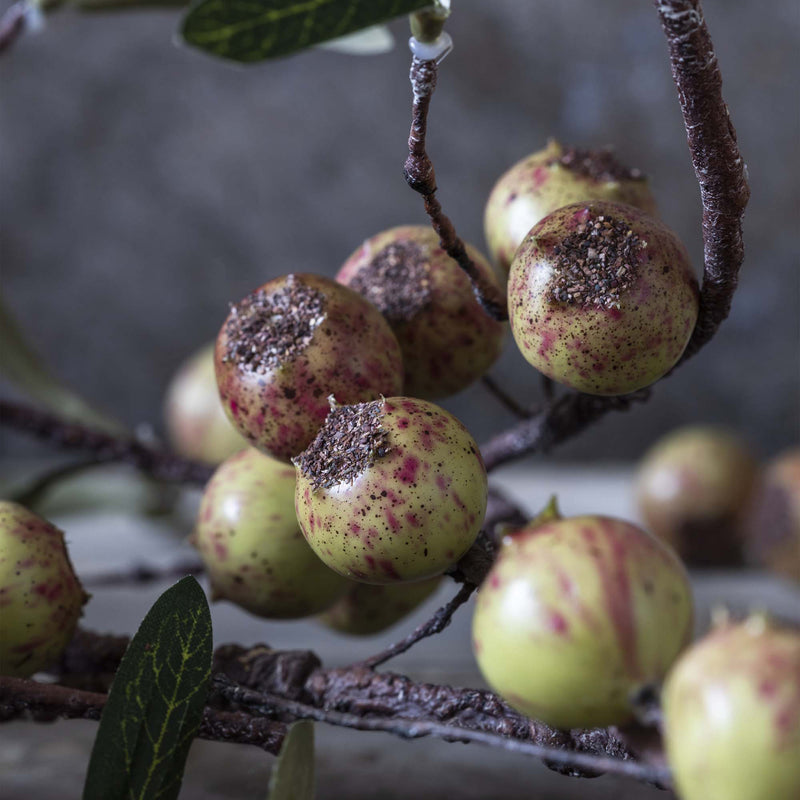 DTOC ARTIFICIAL ROSEHIP, DAPPLED