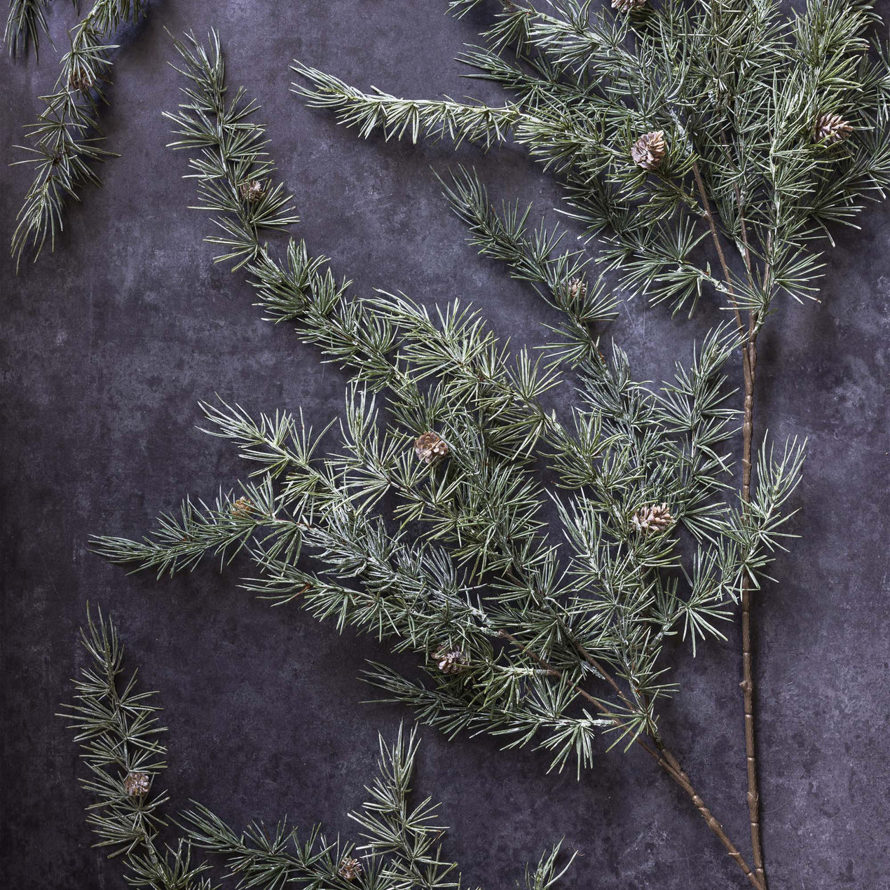 DTOC ARTIFICIAL CEDAR.PINECONE BRANCH