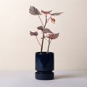 DTOC HOFF GLAZED SAPP BLUE POT SET, 12CM