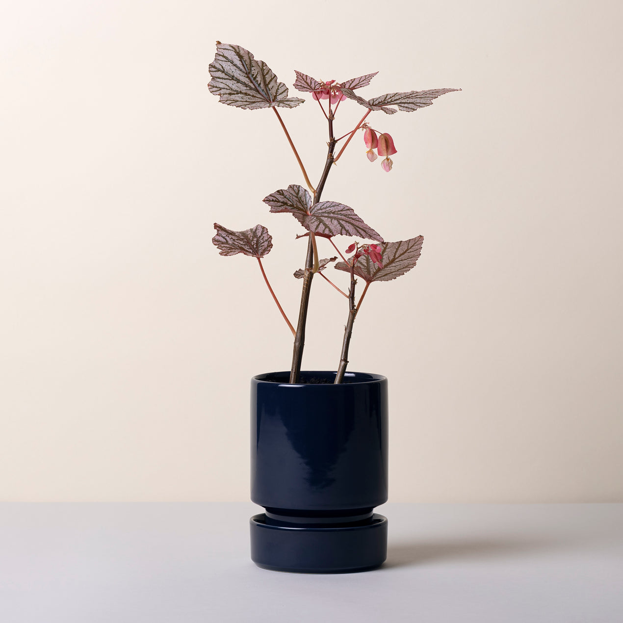 DTOC HOFF GLAZED SAPP BLUE POT SET, 12CM