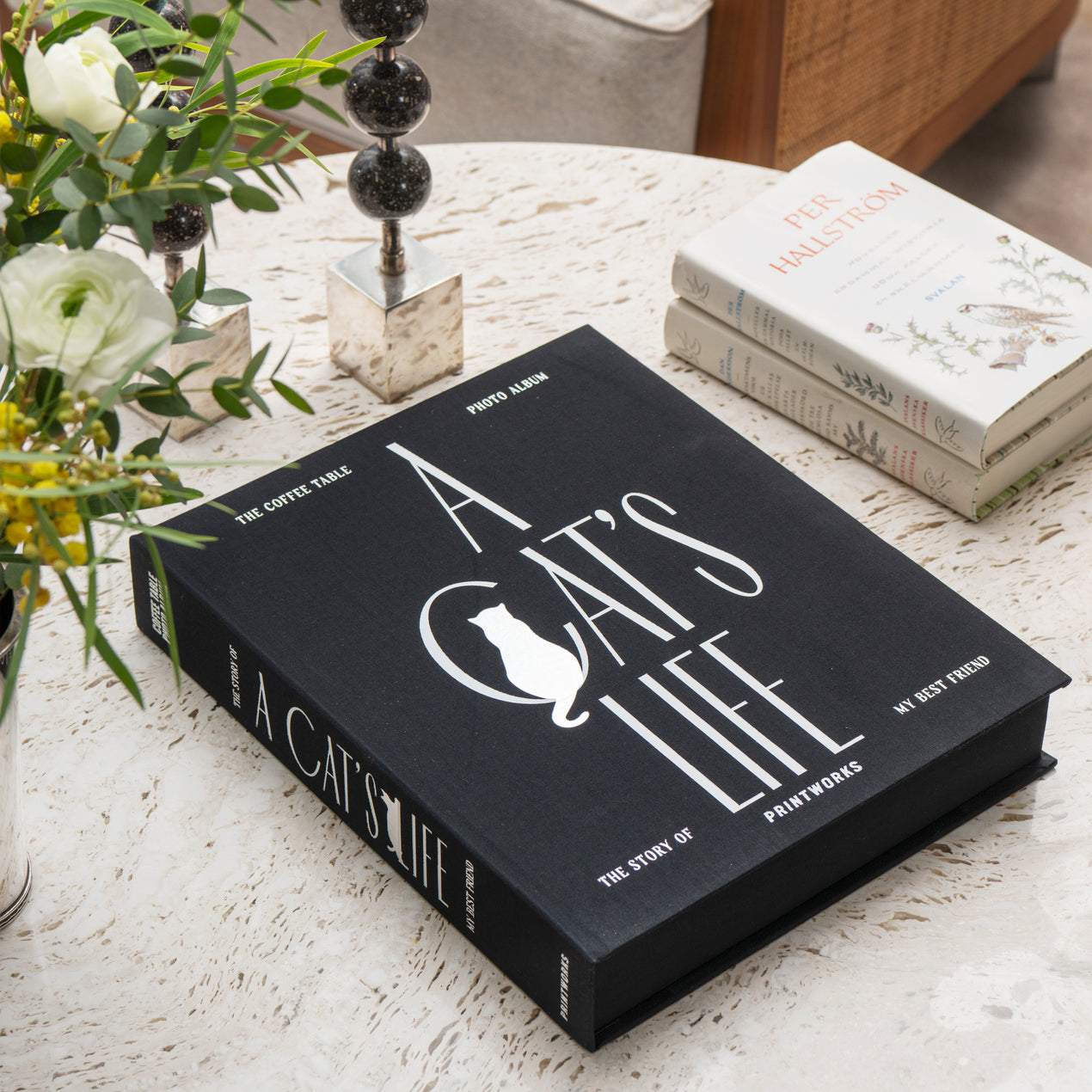 Cat Album - A Cat’s Life