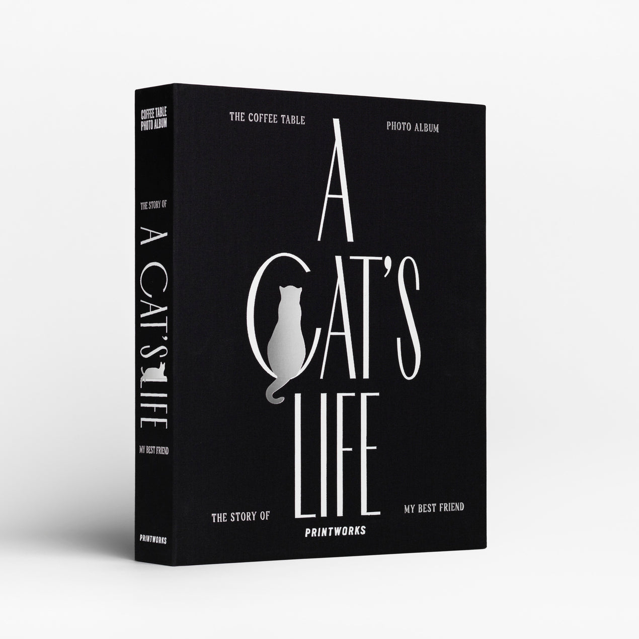 Cat Album - A Cat’s Life