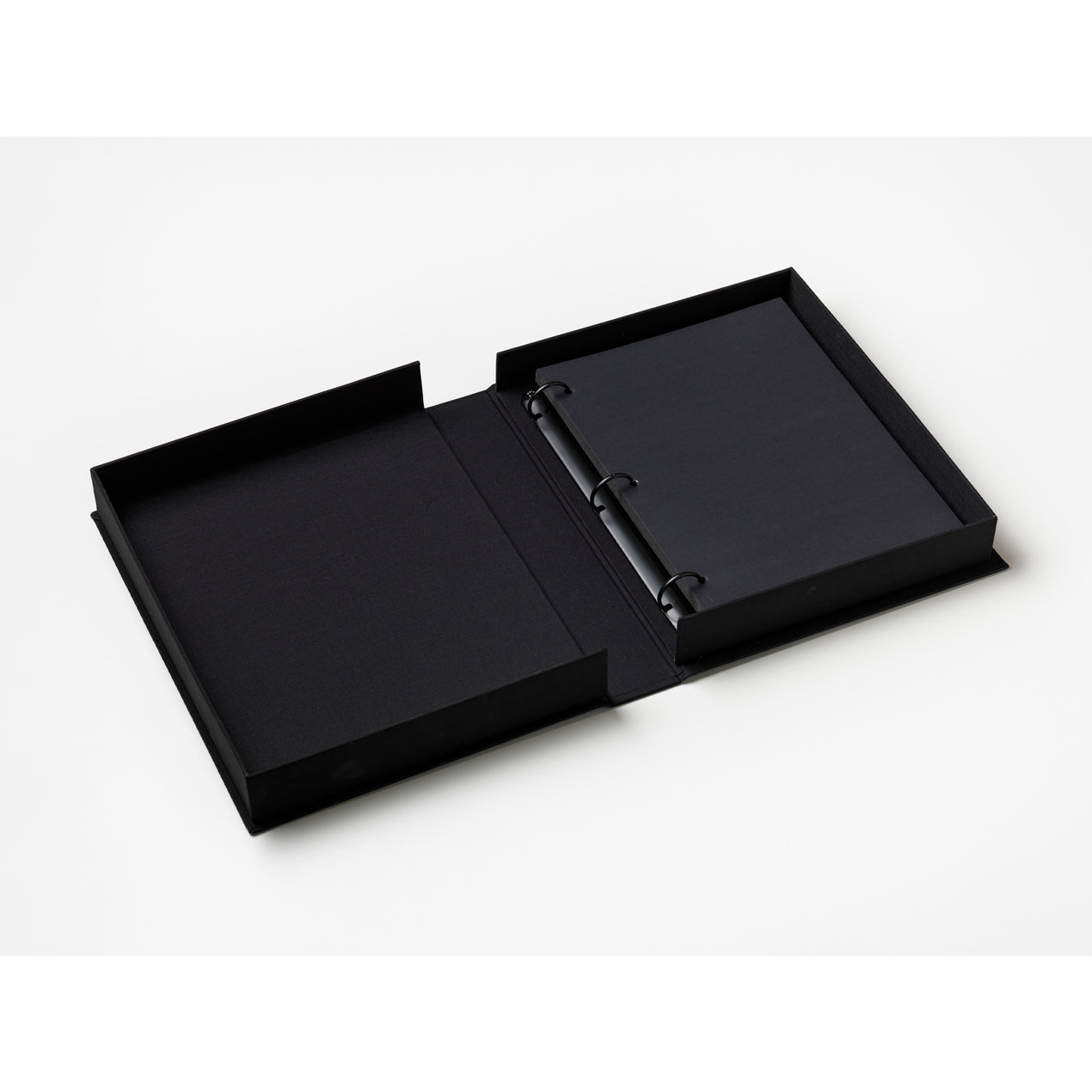 Cat Album - A Cat’s Life