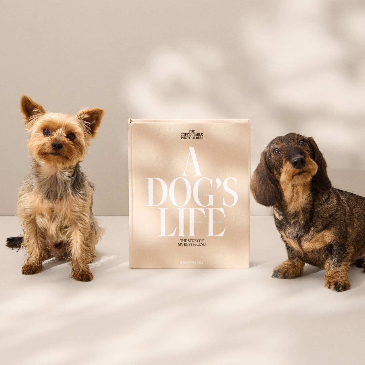 Dog Album – A Dog’s Life