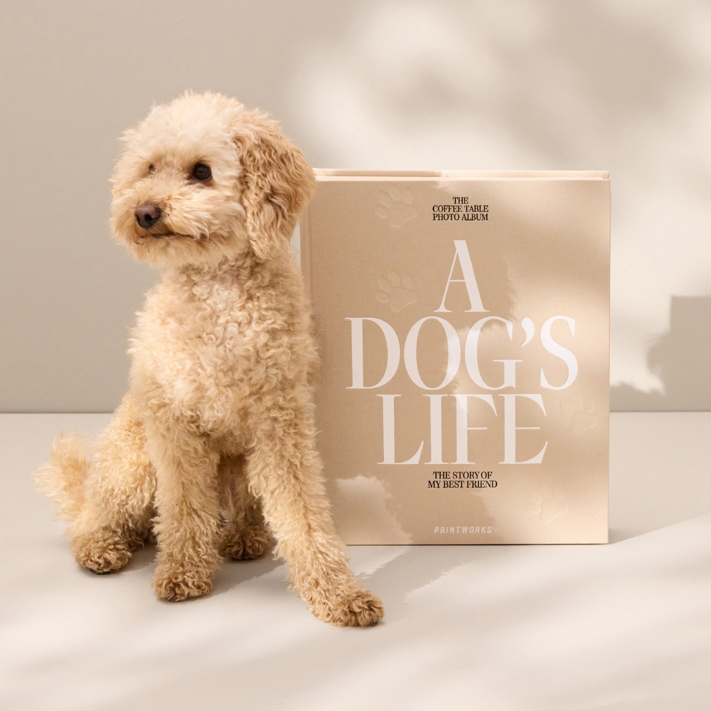 A Dog's Life Photo Album – Lenox Corporation