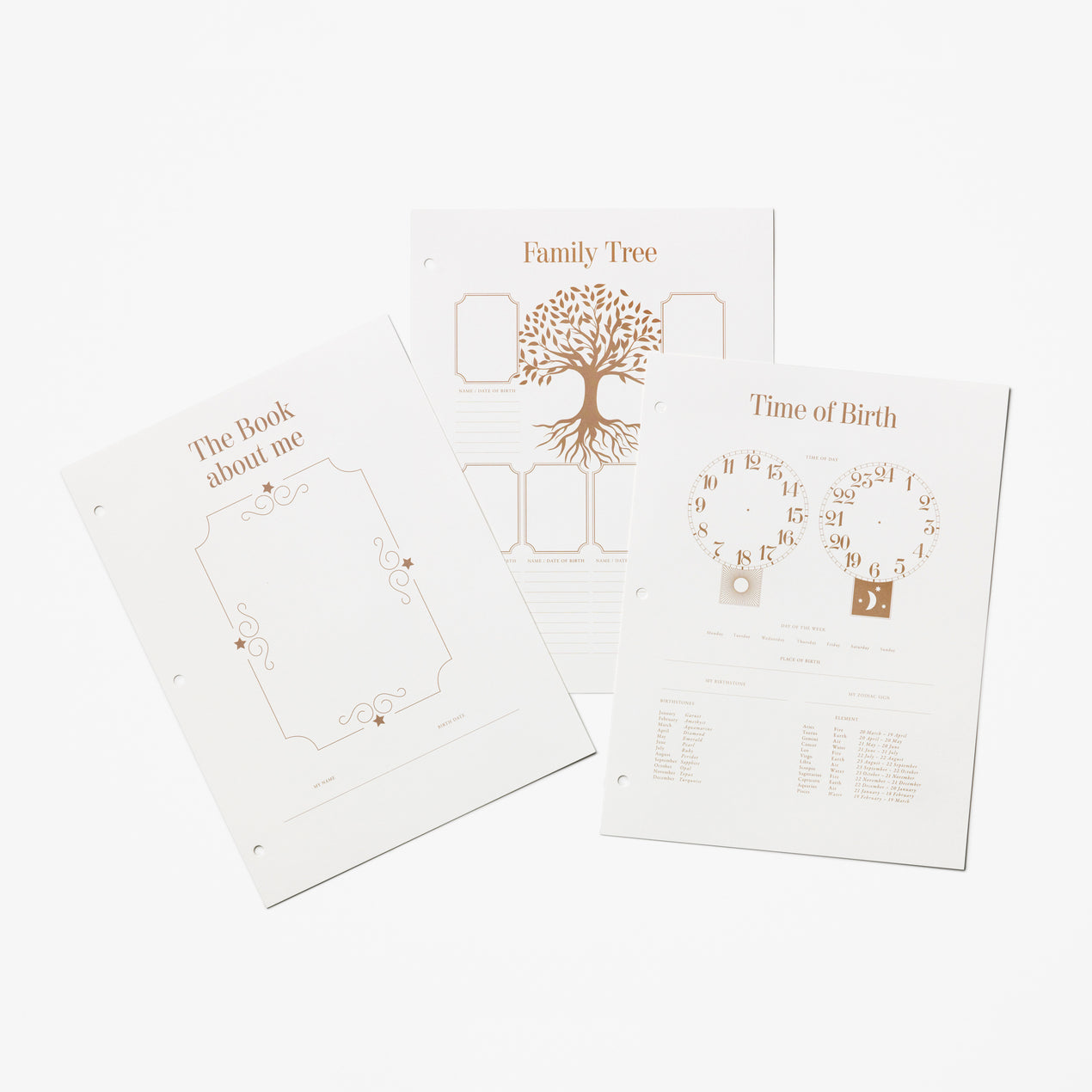 Baby Album Insert Paper - My First Year