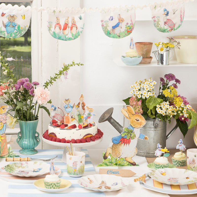 DTOC Peter Rabbit™ Reusable Cups