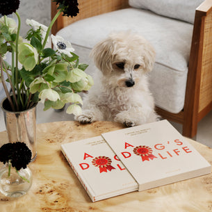 A Dog's Life Fill-In Journal