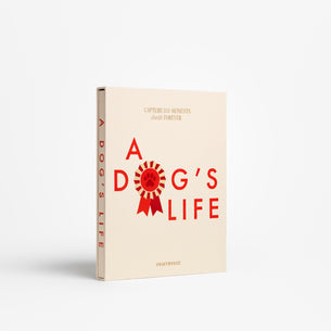 Home Accessories<br>& Décor