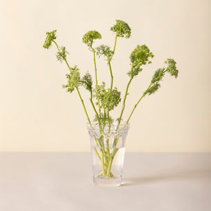 Kobenhavner Small Clear Glass Vase
