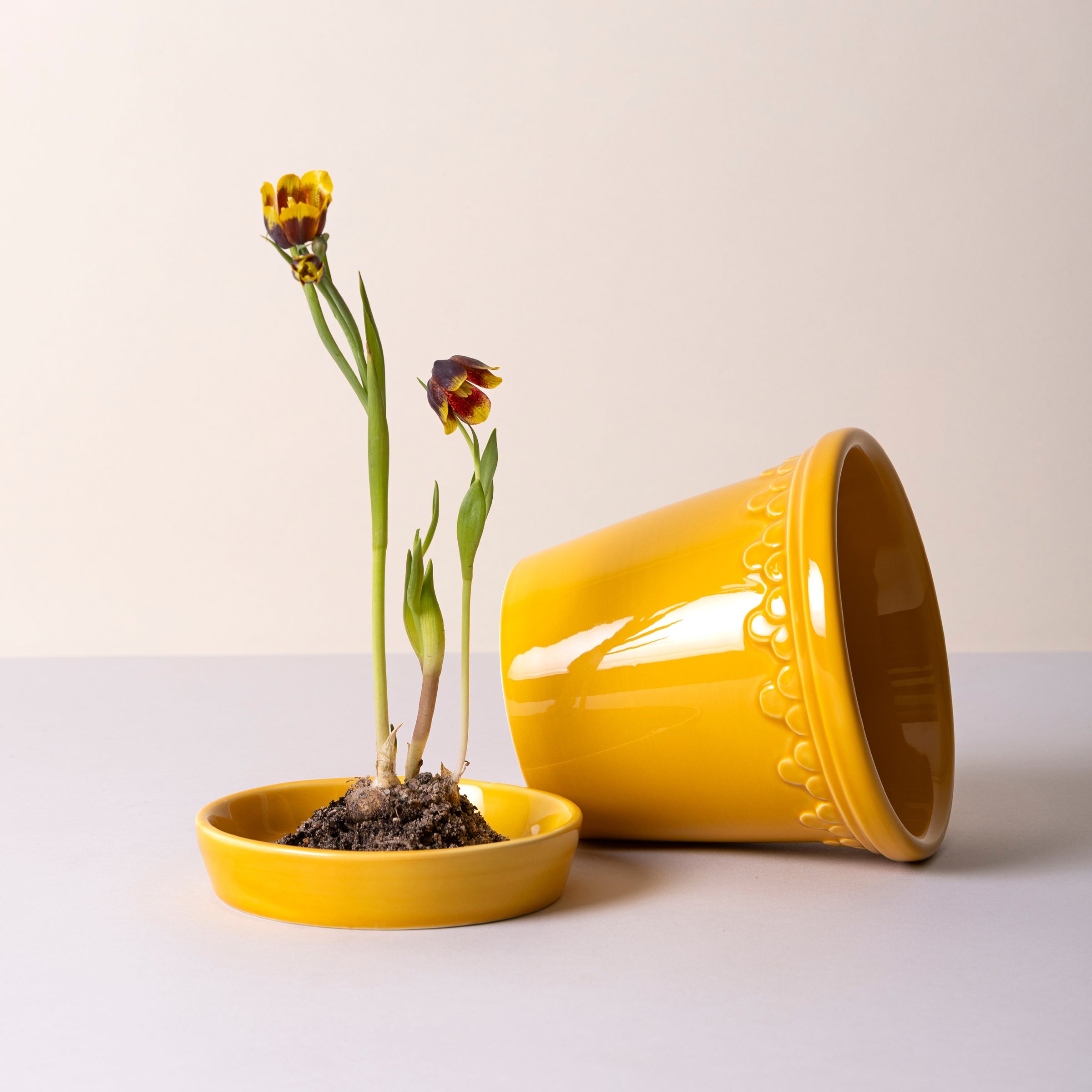 Kobenhavner Glazed Amber Yellow 16cm Pot with Saucer – Lenox