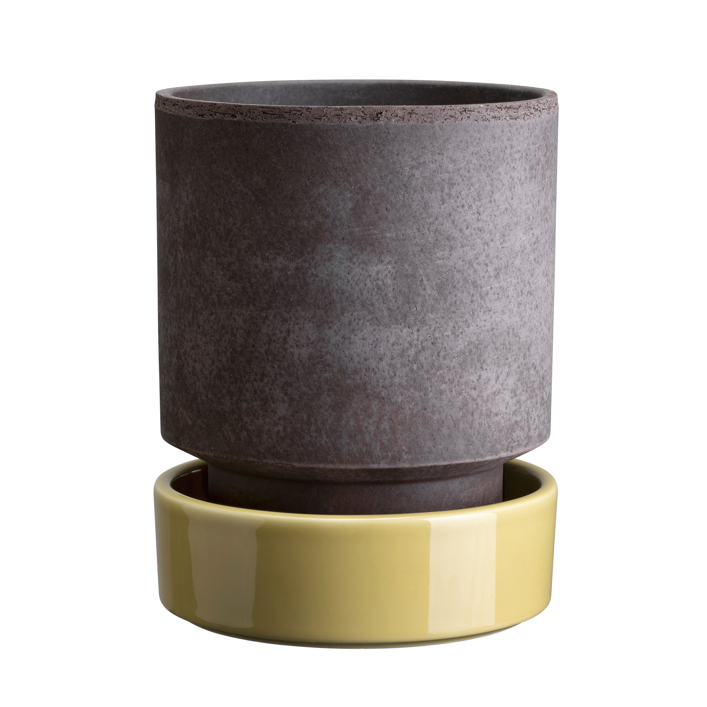 Hoff Raw Grey & Glazed Pale Yellow 14cm Pot with Saucer – Lenox