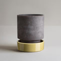 Hoff Raw Grey Glazed Pale Yellow Pot Set, 5.5"