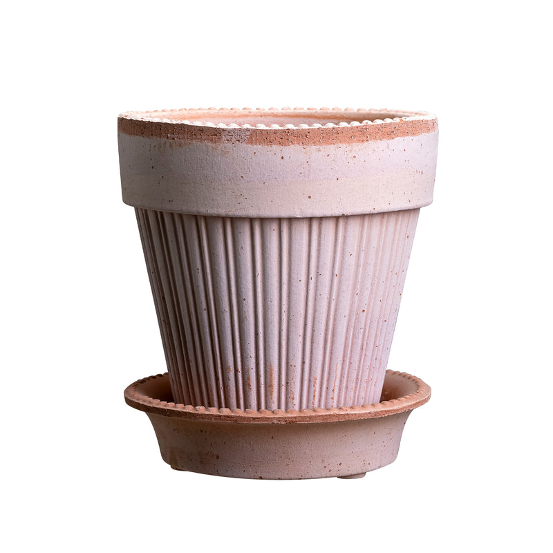 Simona Raw Rosa Pot, 6.3