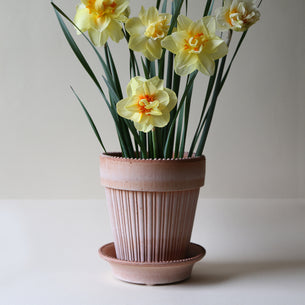 Simona Raw Rosa 16cm Pot with Saucer